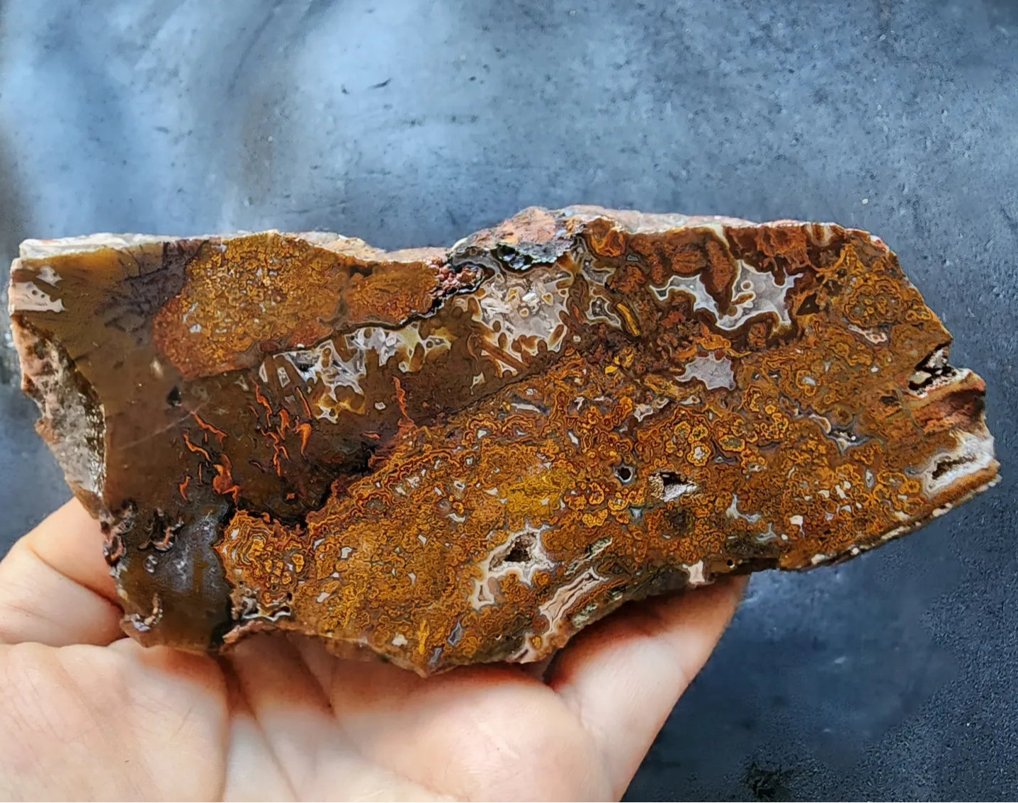 Plume Agate Pair