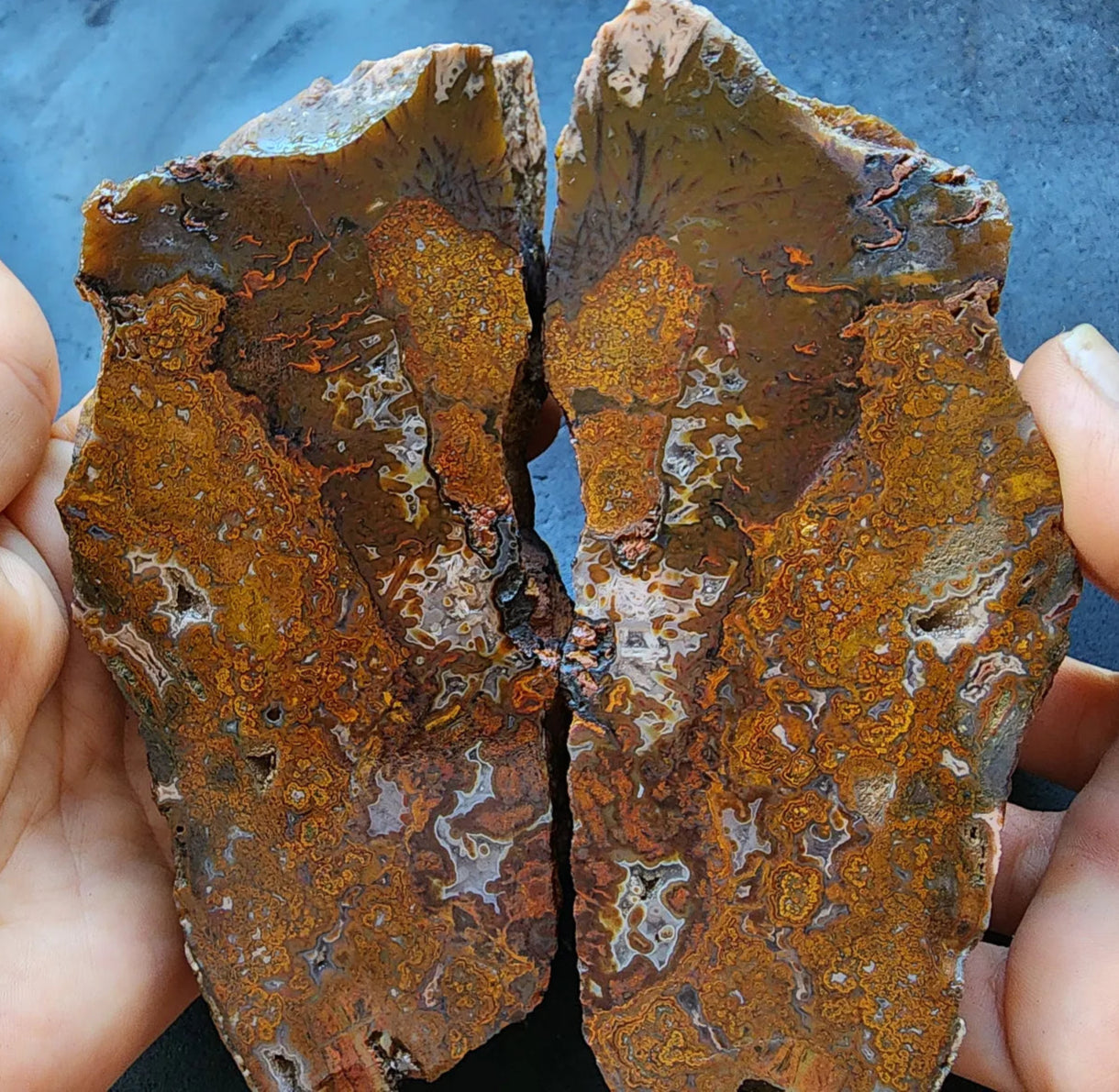 Plume Agate Pair