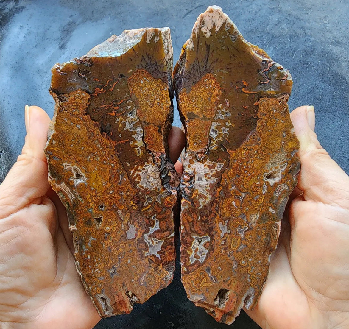 Plume Agate Pair