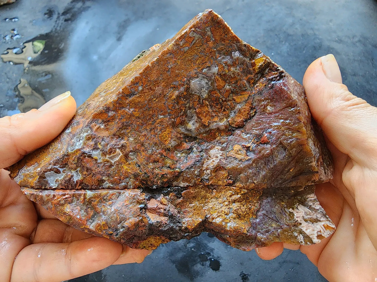 Plume Agate Pair