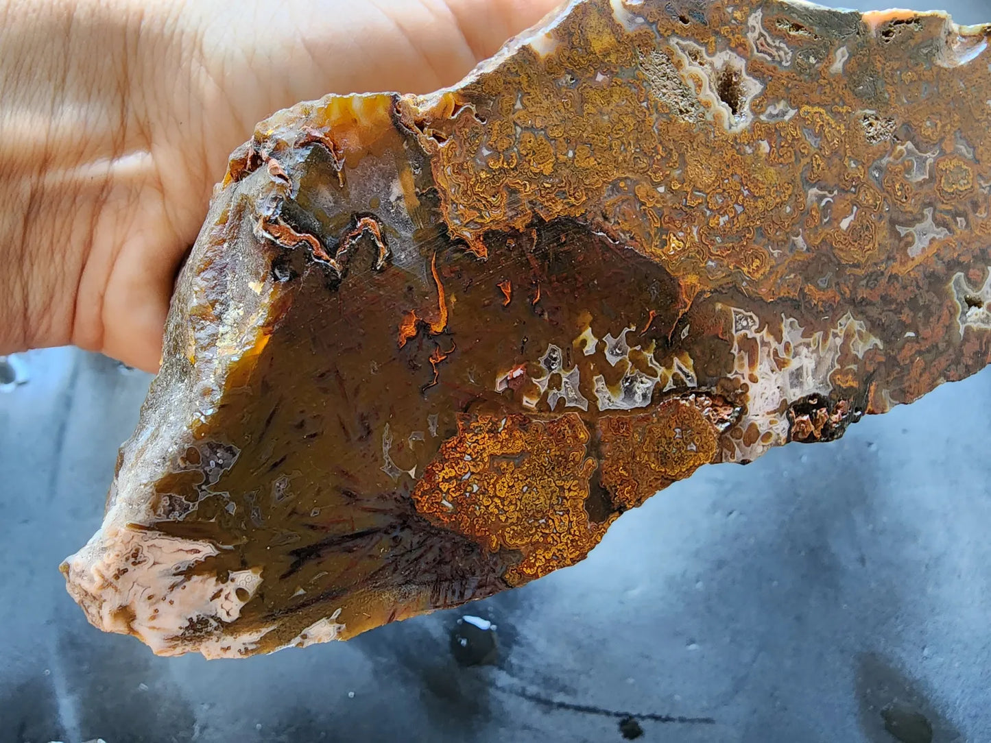 Plume Agate Pair