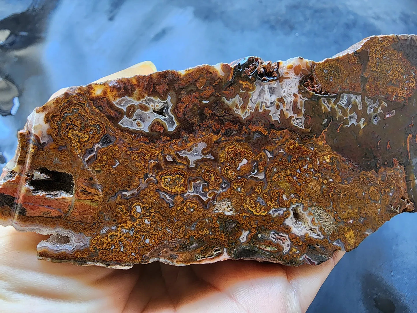 Plume Agate Pair