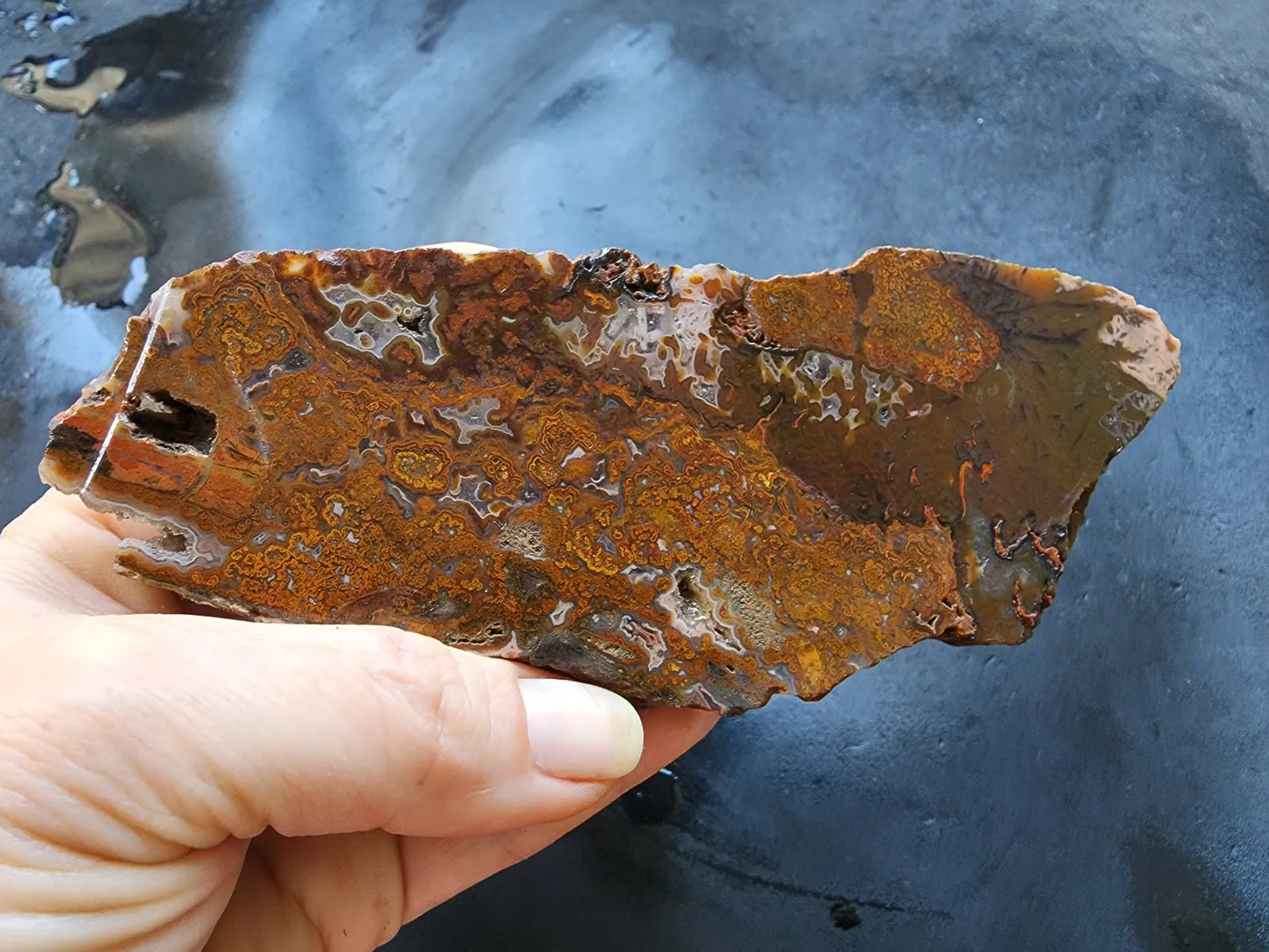 Plume Agate Pair