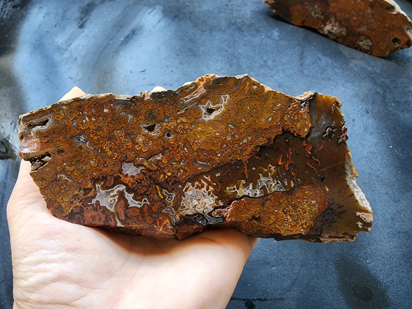 Plume Agate Pair