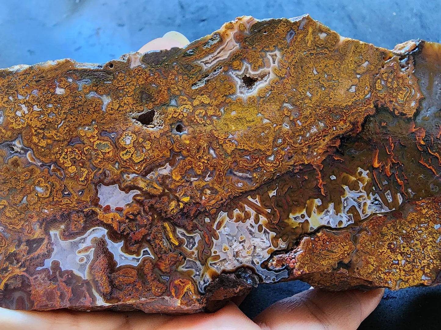 Plume Agate Pair