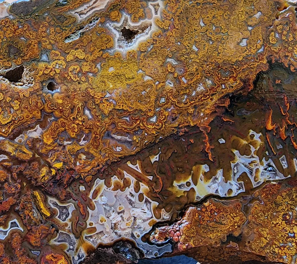 Plume Agate Pair
