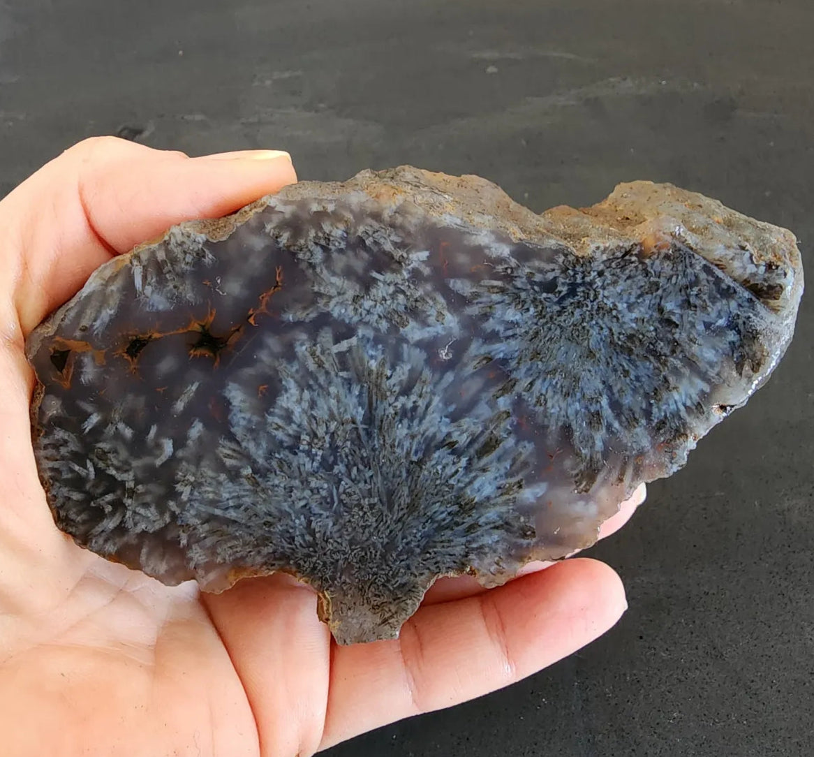 Sagenite Agate