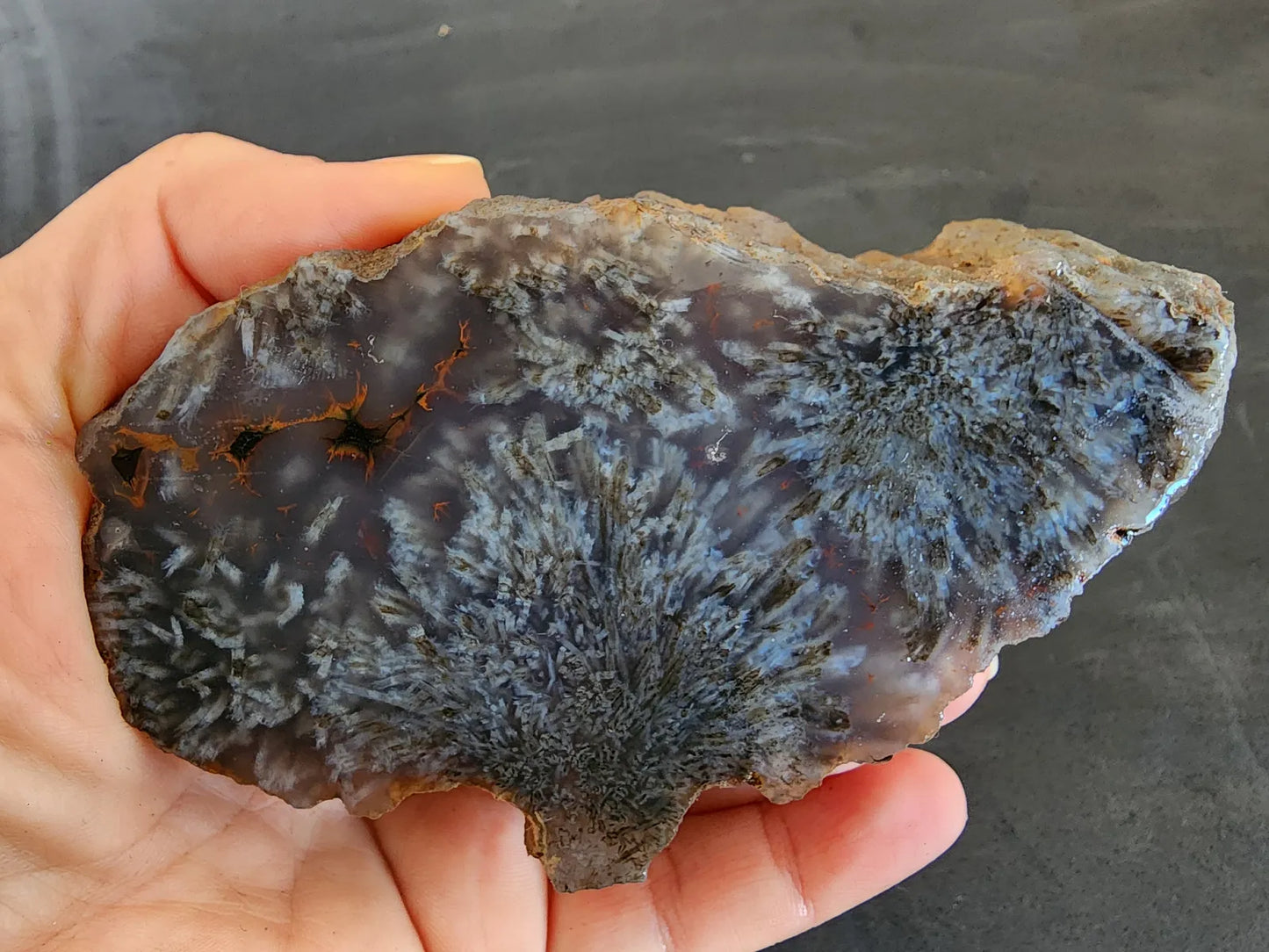 Sagenite Agate