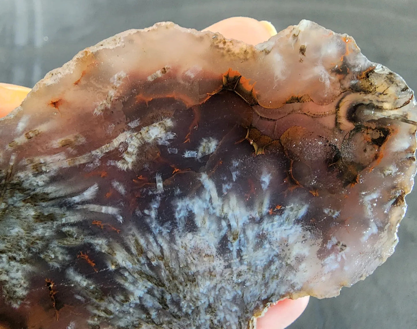 Sagenite Agate