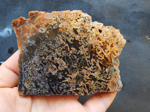 Descriptive image text