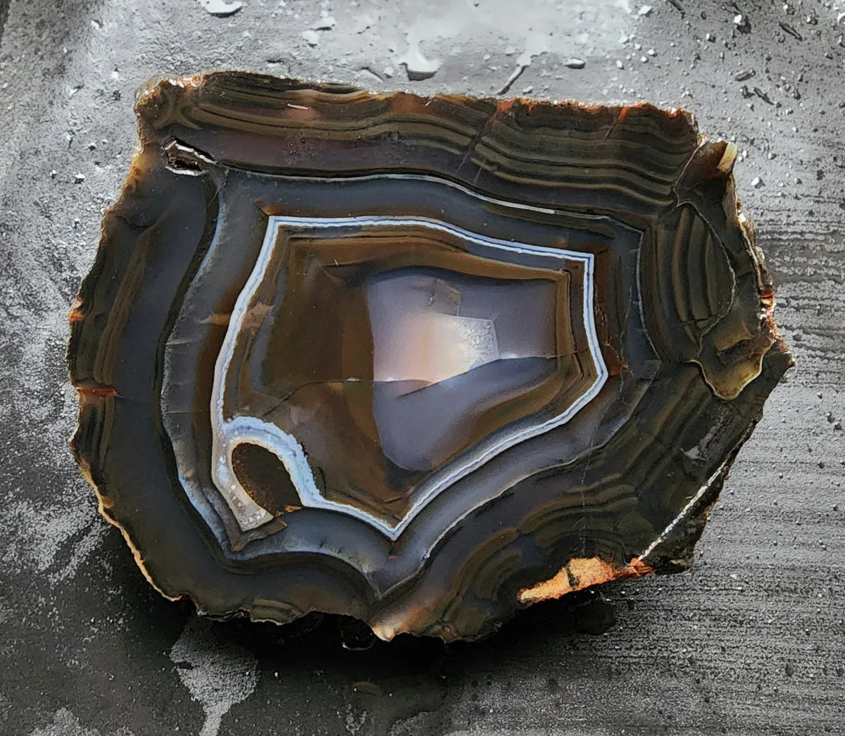 Pseudomorph Thunder Egg