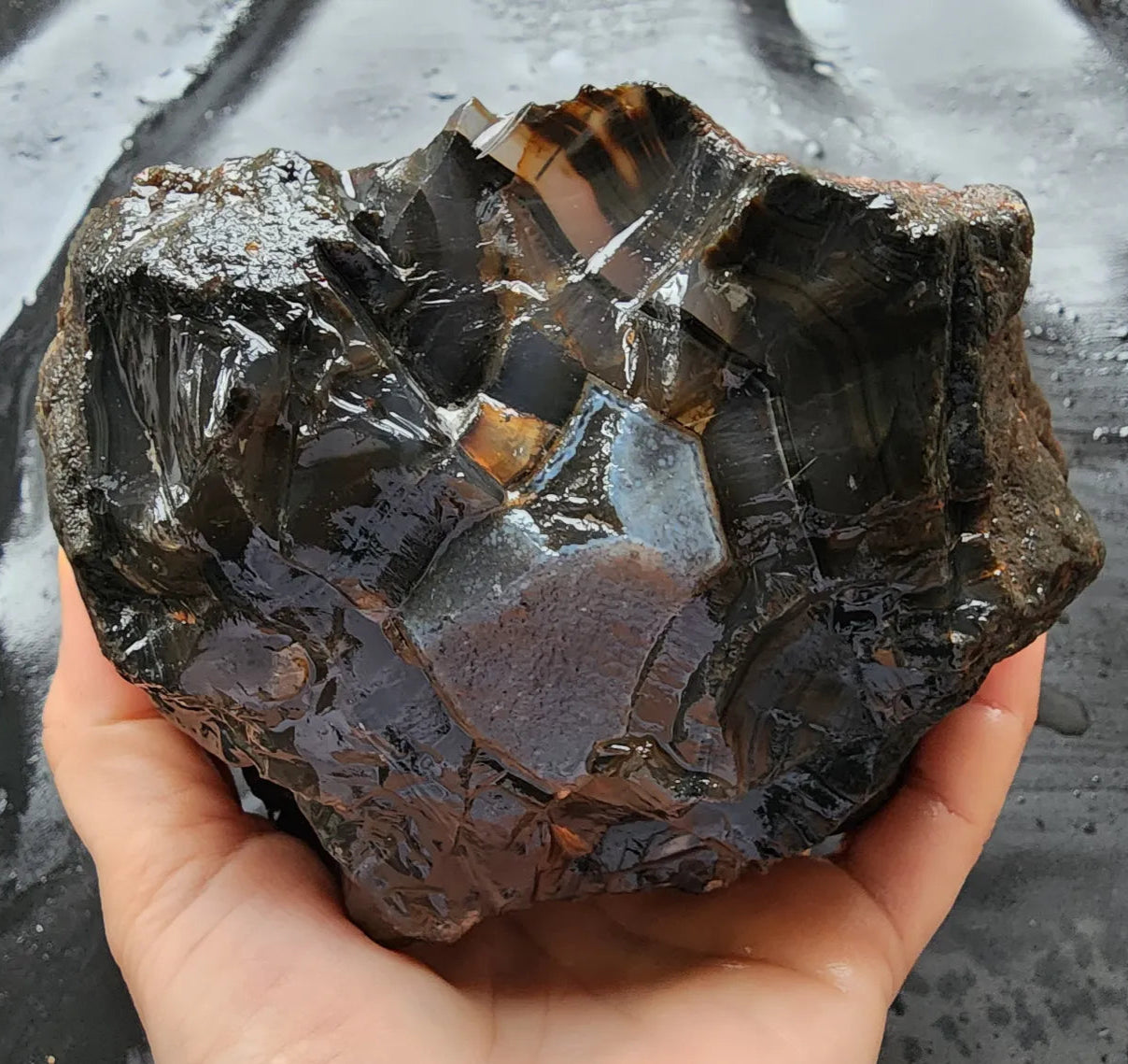 Pseudomorph Thunder Egg