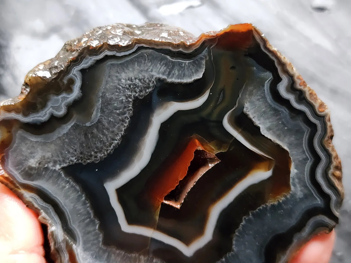 Fox Agate