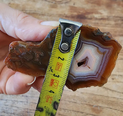 Polished Agate Pair