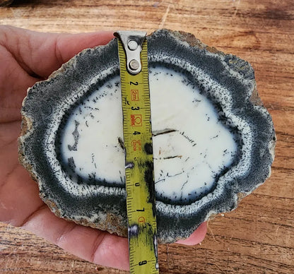 Dendritic Opal