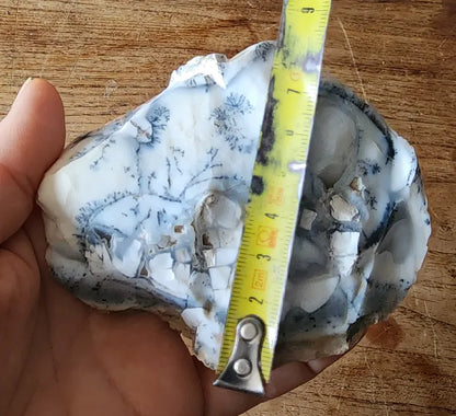 Dendritic Opal Decorative Rock