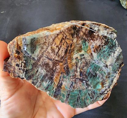Colla Wood Slab