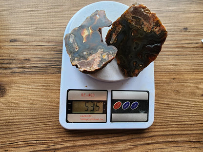 Orbicular Agate Pair