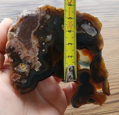 Orbicular Agate Pair