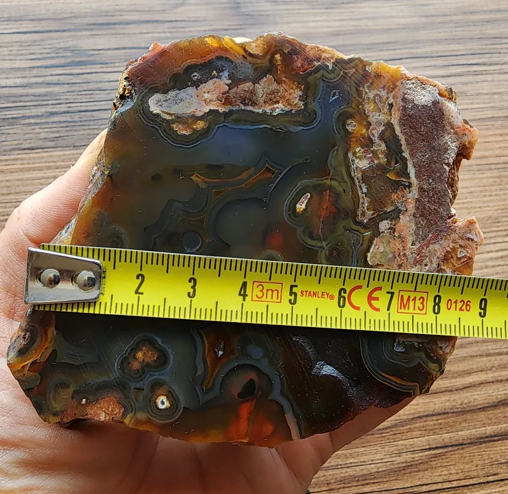 Orbicular Agate Pair