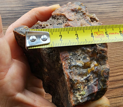 Orbicular Agate Pair