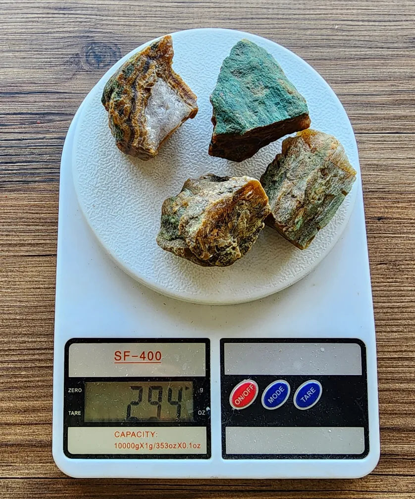 Agatized Wood - Raw Limb Casts  (10.37 oz)