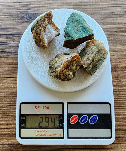 Agatized Wood - Raw Limb Casts  (10.37 oz)