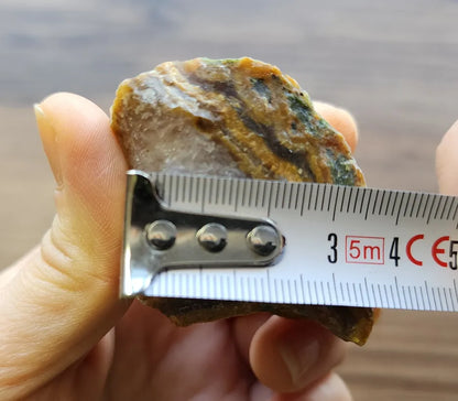 Agatized Wood - Raw Limb Casts  (10.37 oz)