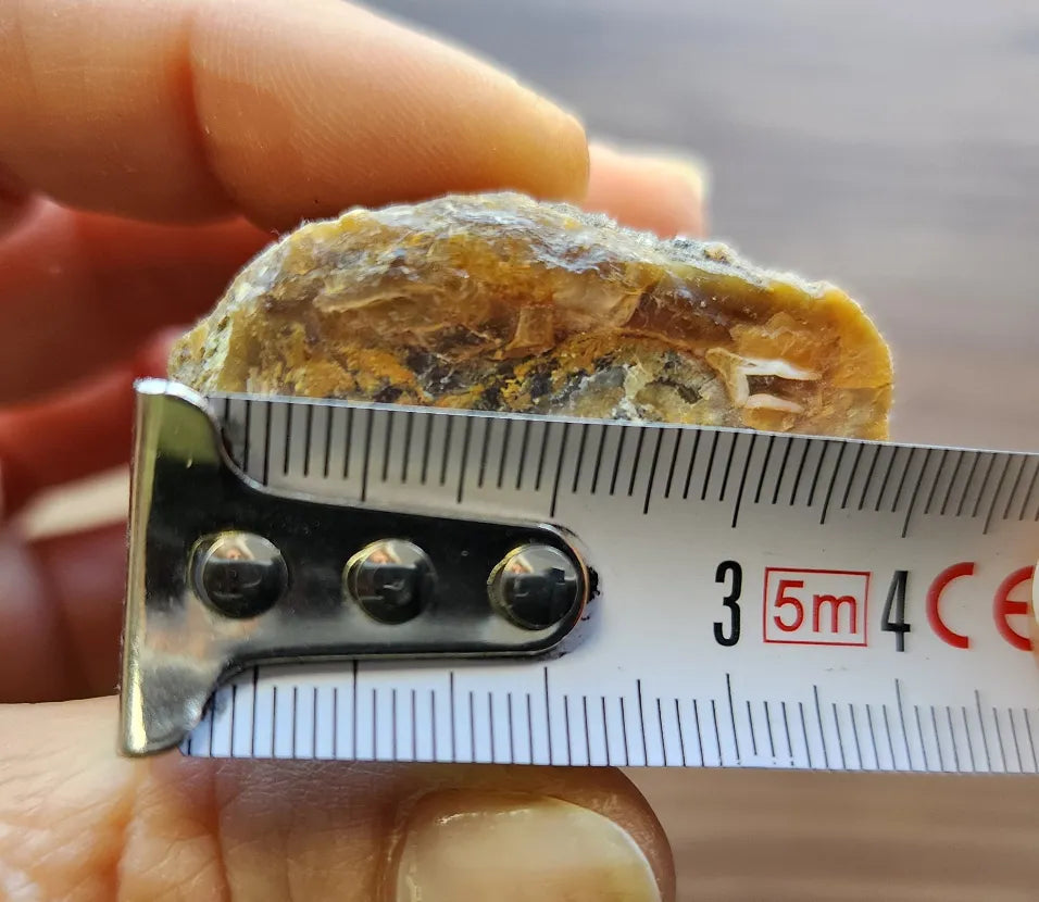 Agatized Wood - Raw Limb Casts  (10.37 oz)