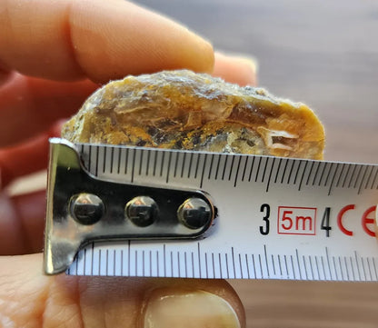 Agatized Wood - Raw Limb Casts  (10.37 oz)