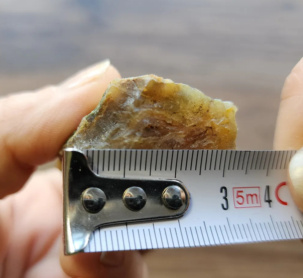 Agatized Wood - Raw Limb Casts  (10.37 oz)