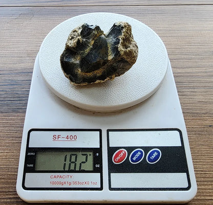 Yellow Dendritic Opal