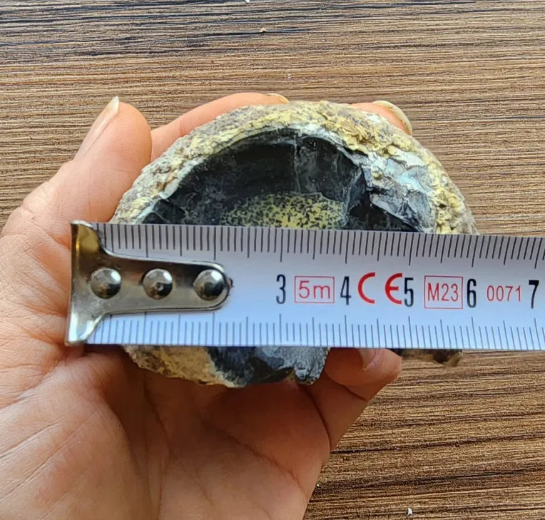 Yellow Dendritic Opal