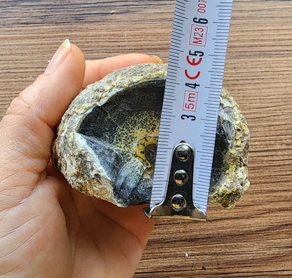 Yellow Dendritic Opal