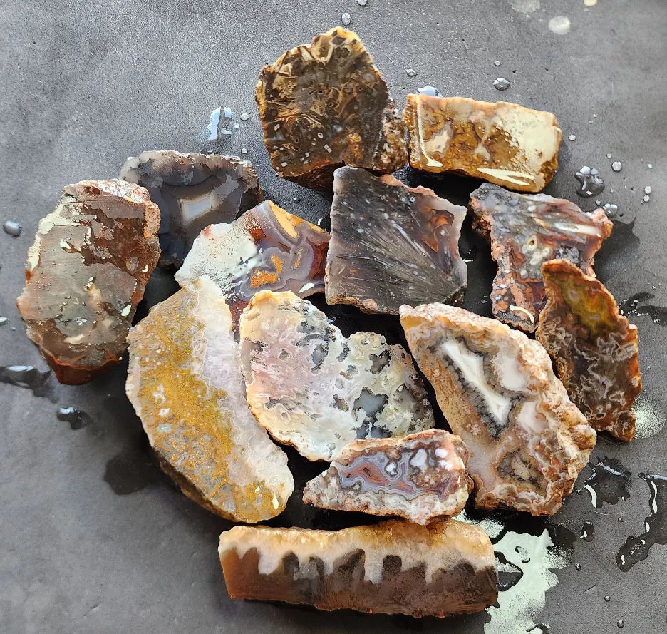 Agate Slices Lot 4.12 lbs