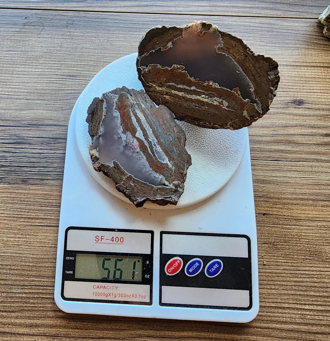 Rare Thunder Egg Pair