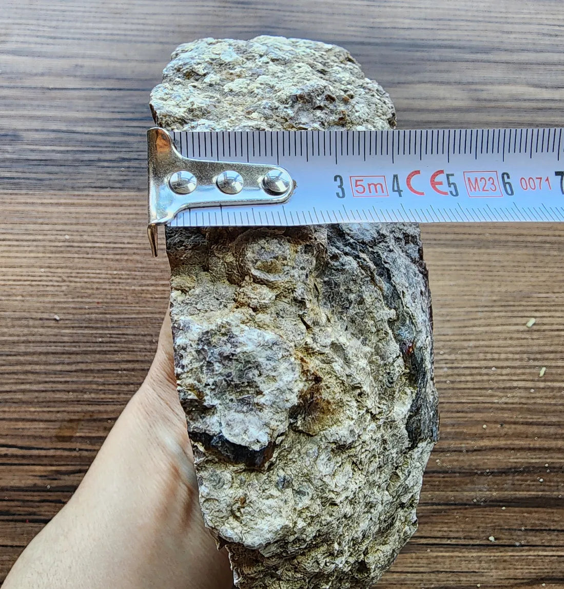 Illusionist Thunderegg Slab