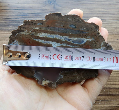 Rare Thunder Egg Pair