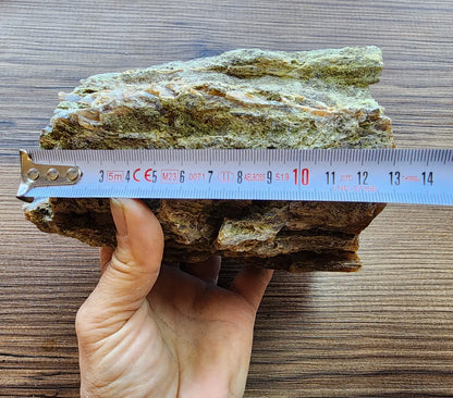 Agatized Wood Log : 4.6 lbs