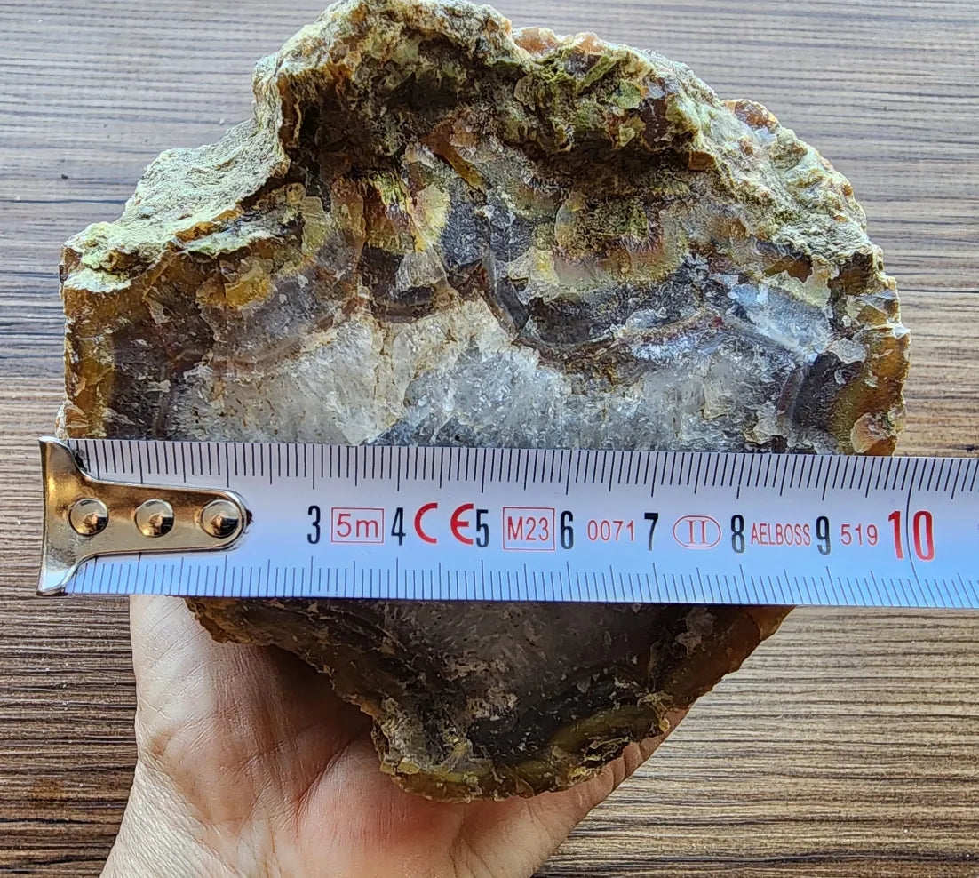 Agatized Wood Log : 4.6 lbs