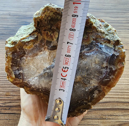 Agatized Wood Log : 4.6 lbs