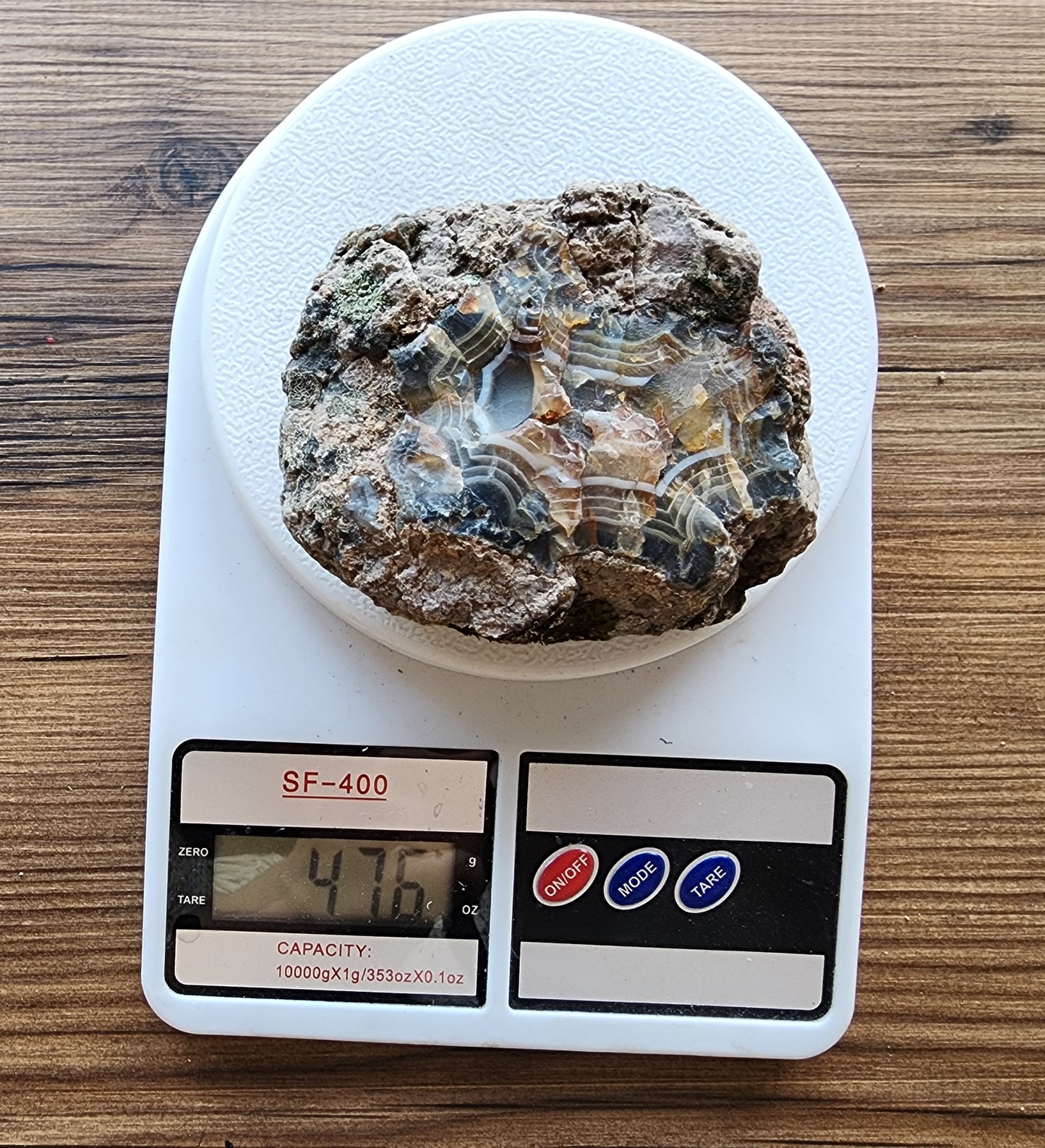 Uncut Thunder Egg - Banded Agate