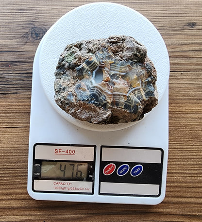 Uncut Thunder Egg - Banded Agate