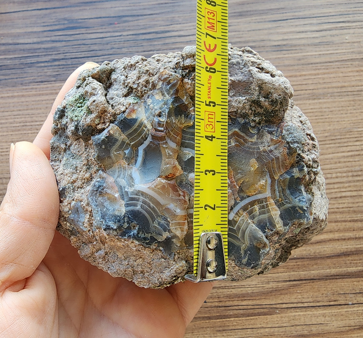 Uncut Thunder Egg - Banded Agate