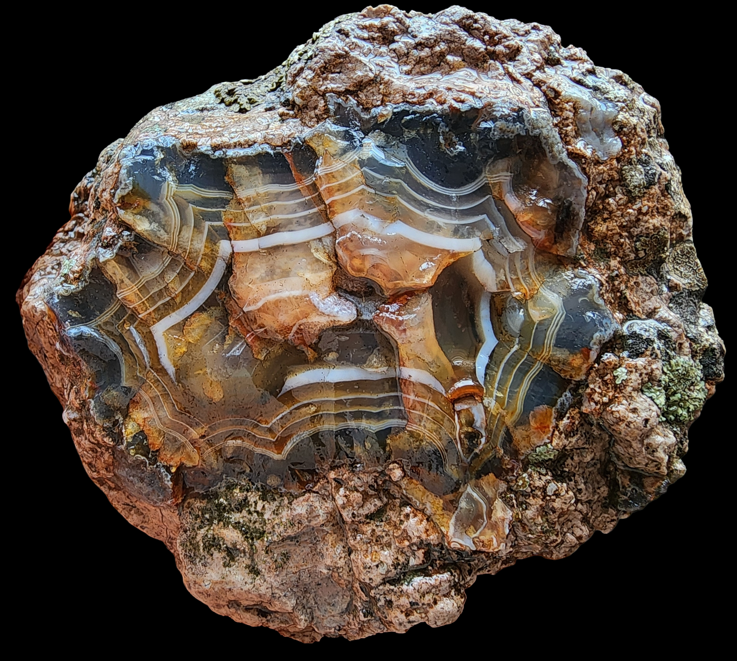 Uncut Thunder Egg - Banded Agate