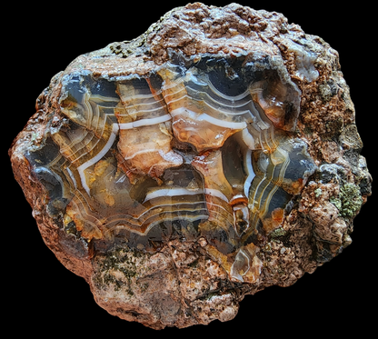 Uncut Thunder Egg - Banded Agate