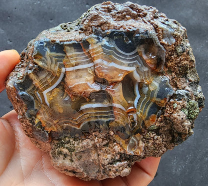 Uncut Thunder Egg - Banded Agate