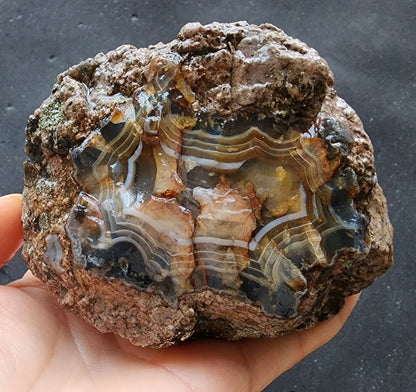 Uncut Thunder Egg - Banded Agate