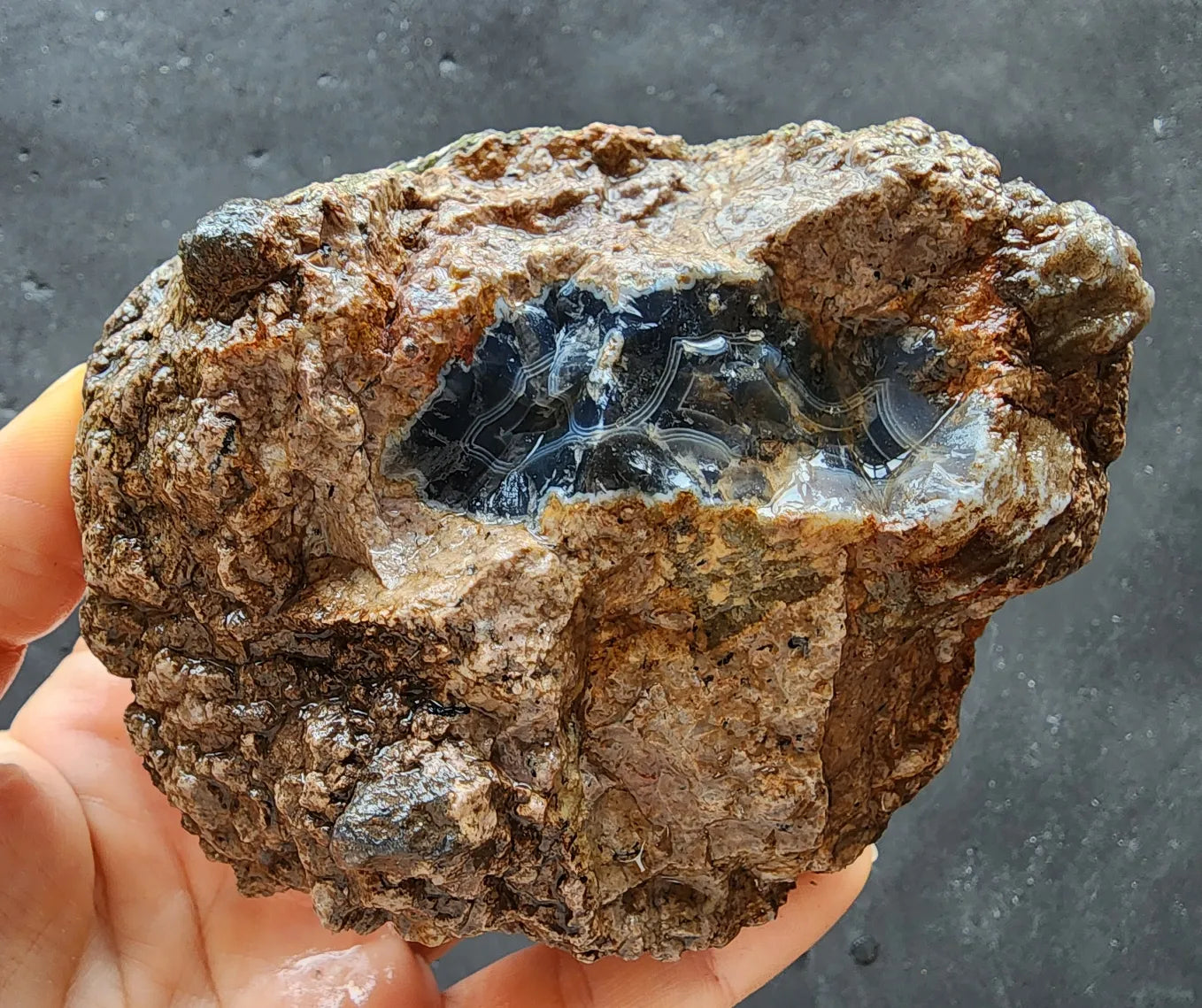 Uncut Thunder Egg - Banded Agate