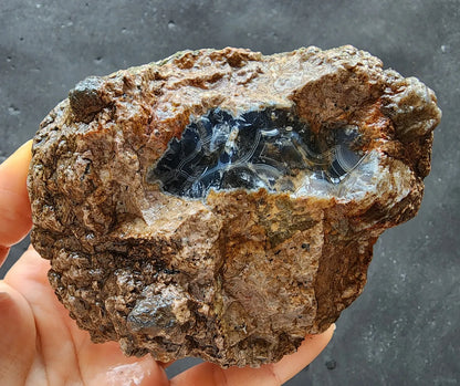 Uncut Thunder Egg - Banded Agate